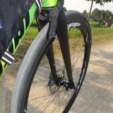 Gravel-Bike – mit dem Rennrad über Stock und Stein