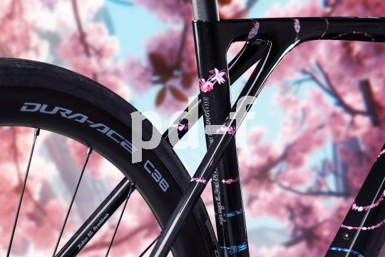 Details am schwarzen Rahmen eines Rennrads mit Blumendekoren.