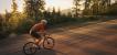 Eine Person fährt mit dem Rennrad eine ansteigende Straße hinauf. Durch die Bäume am Straßenrand scheint die tief stehende Sonne.
