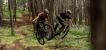 Zwei Personen springen auf Mountainbikes über eine Sprungschanze auf einem Weg im Wald.