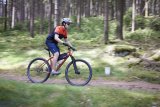 Mountainbiker unterwegs im Wald