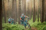 Eine Frau und ein Mann schieben ihre Mountainbikes im Wald einen Weg bergan.
