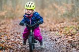 Kind fährt mit Laufrad im Wald