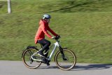 Frau fährt mit E-Bike vor Wiese
