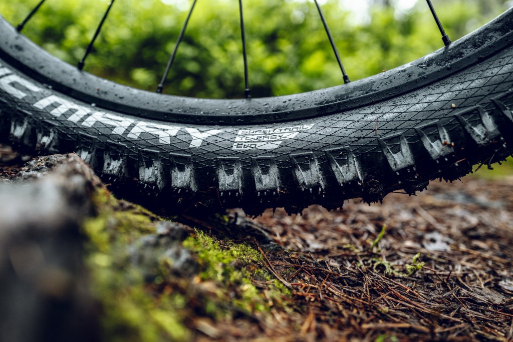 Nahaufnahme eines Mountainbikereifens auf Waldboden.