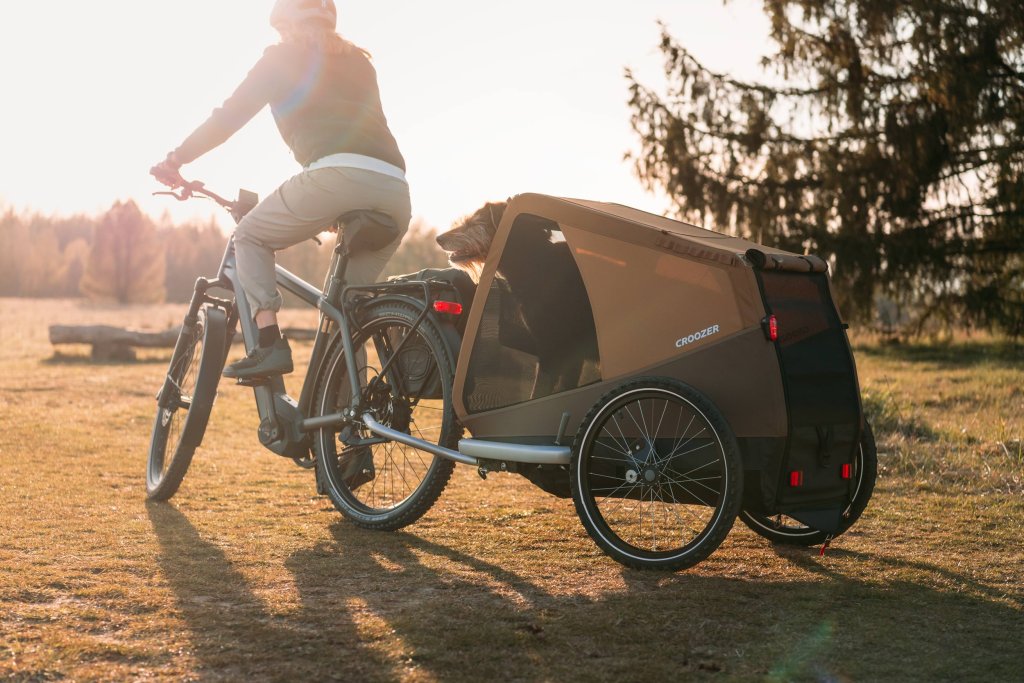 Eine Person fährt mit einem E-Bike und Fahrradanhänger mit einem Hund darin über eine Wiese.