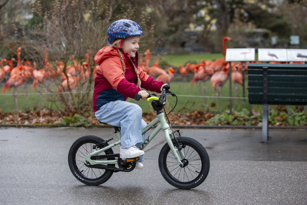 Kind fährt auf Kinderrad durch einen Park.