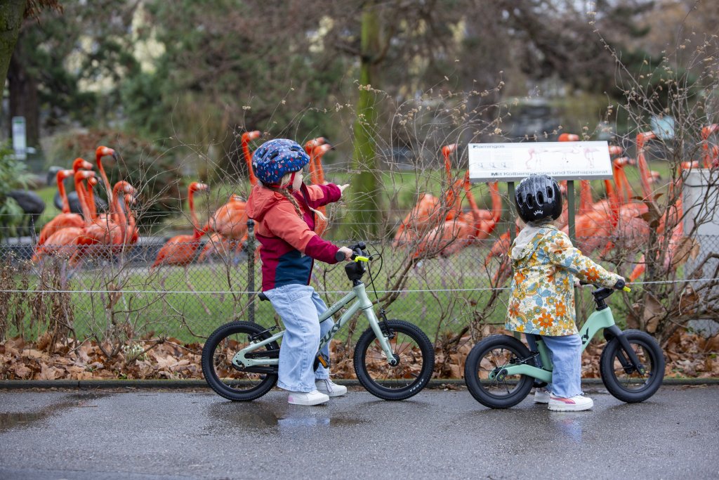 Zwei Kinder stehen mit Laufrad und Kinderrad in einem Zoo.