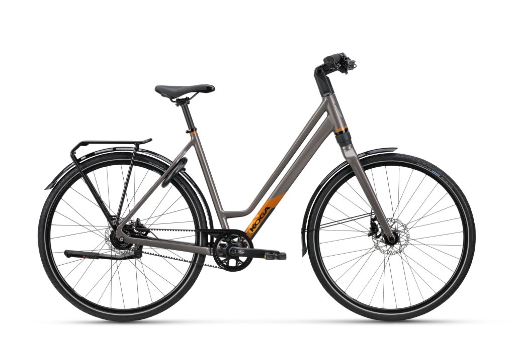 Ein Fahrrad mit tiefem Einstieg vor weißem Hintergrund.