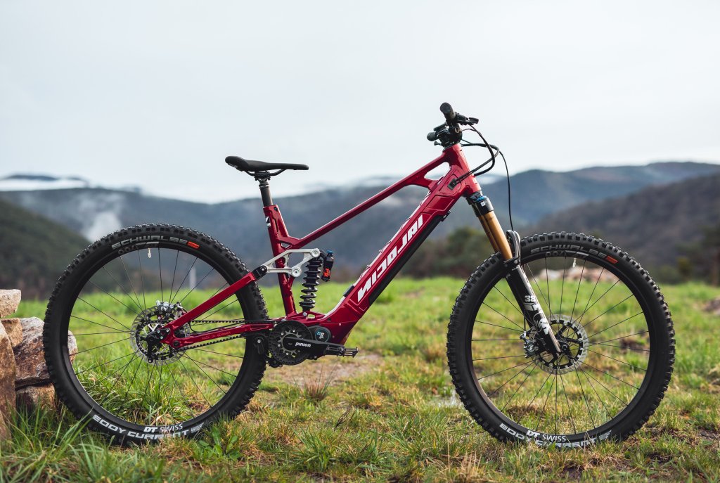 Ein rotes E-Mountainbike steht auf einer Wiese.