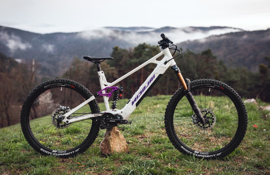 Ein weißes E-Mountainbike steht an einem Stein angelehnt auf einer Wiese. Im Hintergrund sind Wald und seichte Berge mit Wolken dazwischen zu sehen.