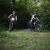 Zwei Personen fahren auf E-Bikes durch einen Wald.