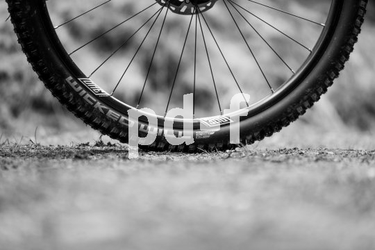 Zu den wichtigsten Eigenschaften eines Fahrradreifens zählen Grip und Pannensicherheit.