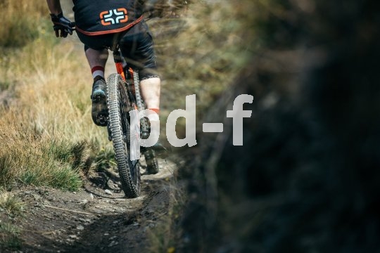 Mountainbike-Reifen haben meist offene, eher grobe Profile, die sich gut mit naturbelassenem Untergrund verzahnen. 