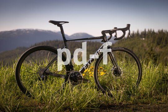 Ein schwarzes Rennrad in einer Bergwiese.