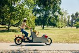 Frau fährt mit Lastenrad und zwei Kindern durch einen Park bei Sonnenschein.