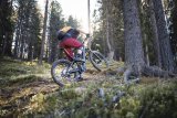 Mann fährt mit E-Mountainbike durch Wald bei Sonnenschein