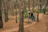 Mann fährt mit Mountainbike durch Wald