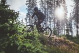 Eine Person fährt auf einem E-Mountainbike mit der Sonne im Rücken über eine Waldlichtung.